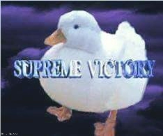 Duck supreme victory | image tagged in duck,supreme,victory | made w/ Imgflip meme maker