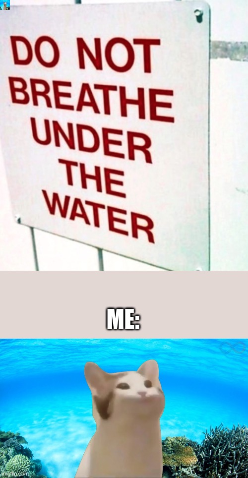 It be cute. | ME: | image tagged in underwater | made w/ Imgflip meme maker