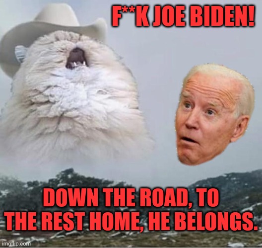 Cat Denver's Let's Go Brandon! | F**K JOE BIDEN! DOWN THE ROAD, TO THE REST HOME, HE BELONGS. | image tagged in country,roads,john denver,cat,joe biden | made w/ Imgflip meme maker