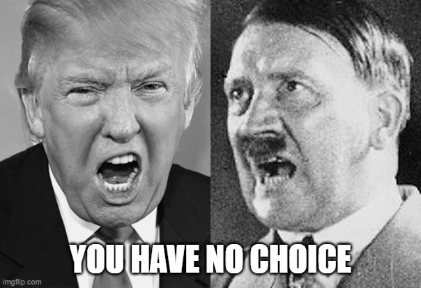 Trump Hitler You Have No Choice | YOU HAVE NO CHOICE | image tagged in trump hitler you have no choice | made w/ Imgflip meme maker