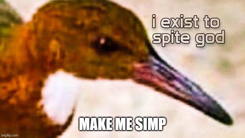 Based on what I've recently posted this week, this should be easy | MAKE ME SIMP | image tagged in i exist to spite god | made w/ Imgflip meme maker