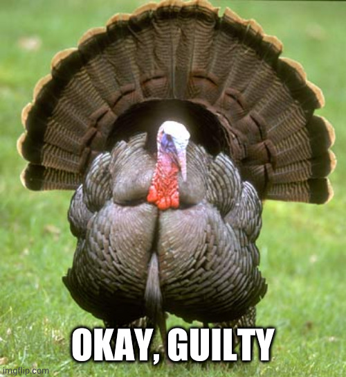 Turkey Meme | OKAY, GUILTY | image tagged in memes,turkey | made w/ Imgflip meme maker