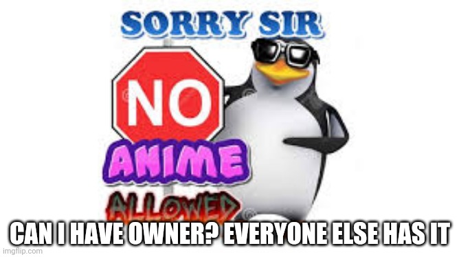 Mod note: No | CAN I HAVE OWNER? EVERYONE ELSE HAS IT | image tagged in no anime allowed | made w/ Imgflip meme maker