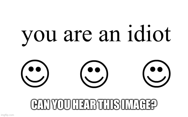 You Are An Idiot!! | CAN YOU HEAR THIS IMAGE? | image tagged in you are an idiot | made w/ Imgflip meme maker