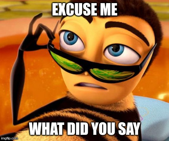 Bee Movie | EXCUSE ME WHAT DID YOU SAY | image tagged in bee movie | made w/ Imgflip meme maker