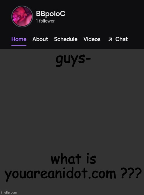 i saw it on youtube | guys-; what is youareanidot.com ??? | image tagged in twitch template | made w/ Imgflip meme maker