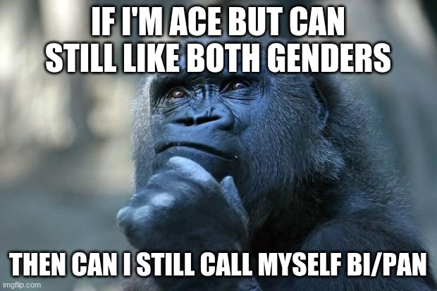 Deep Thoughts | IF I'M ACE BUT CAN STILL LIKE BOTH GENDERS; THEN CAN I STILL CALL MYSELF BI/PAN | image tagged in deep thoughts | made w/ Imgflip meme maker
