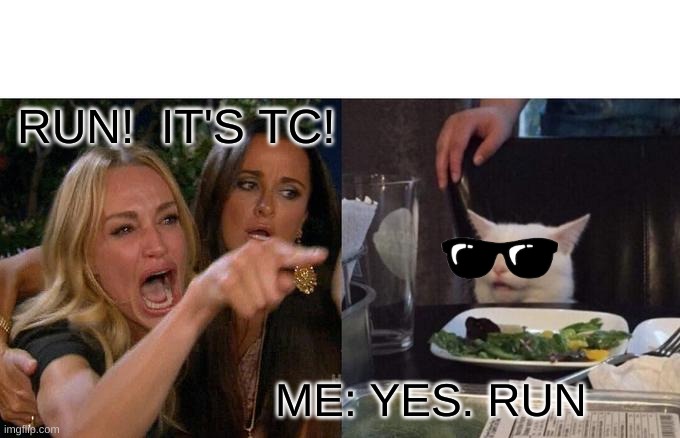Woman Yelling At Cat | RUN!  IT'S TC! ME: YES. RUN | image tagged in memes,woman yelling at cat | made w/ Imgflip meme maker