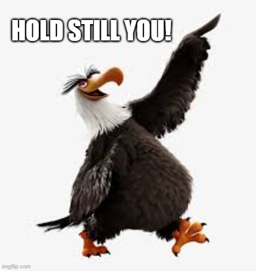 angry birds eagle | HOLD STILL YOU! | image tagged in angry birds eagle | made w/ Imgflip meme maker