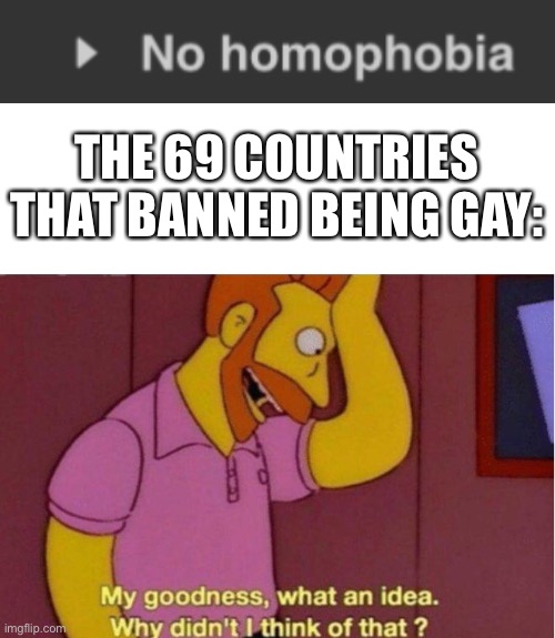 THE 69 COUNTRIES THAT BANNED BEING GAY: | image tagged in my goodness what an idea why didnt i think of that | made w/ Imgflip meme maker