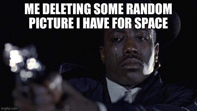 my photos are weird | ME DELETING SOME RANDOM PICTURE I HAVE FOR SPACE | image tagged in killing while crying,memes,meme,photos,delete,sorry not sorry | made w/ Imgflip meme maker