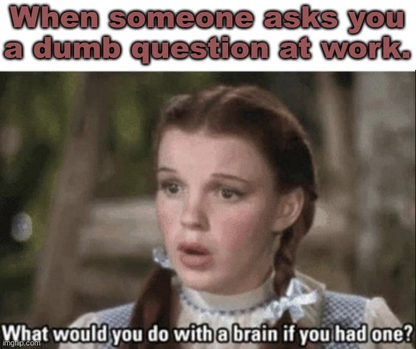 When someone asks you a dumb question at work. | image tagged in confused little girl | made w/ Imgflip meme maker