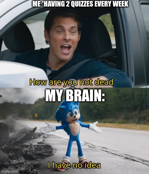 Sonic I have no idea | ME *HAVING 2 QUIZZES EVERY WEEK; MY BRAIN: | image tagged in sonic i have no idea | made w/ Imgflip meme maker