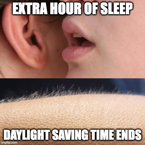 daylight saving time ends | EXTRA HOUR OF SLEEP; DAYLIGHT SAVING TIME ENDS | image tagged in whisper and goosebumps | made w/ Imgflip meme maker