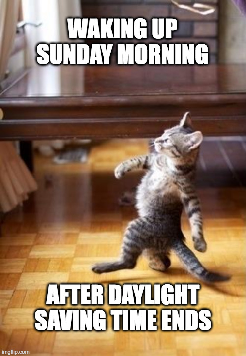Daylight saving time ends | WAKING UP SUNDAY MORNING; AFTER DAYLIGHT SAVING TIME ENDS | image tagged in memes,cool cat stroll | made w/ Imgflip meme maker