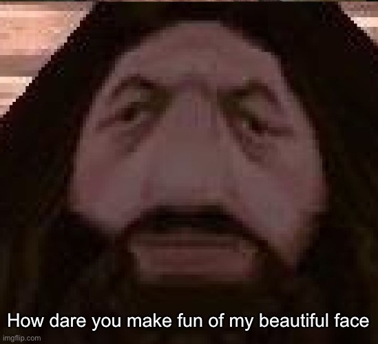 Hagrid PS1 | How dare you make fun of my beautiful face | image tagged in hagrid ps1 | made w/ Imgflip meme maker