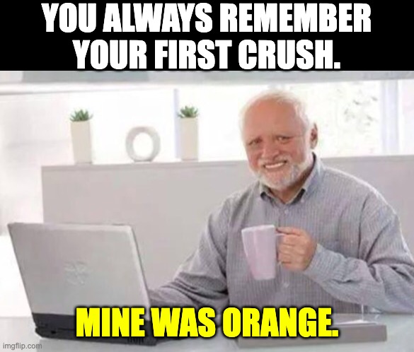 crush | YOU ALWAYS REMEMBER YOUR FIRST CRUSH. MINE WAS ORANGE. | image tagged in harold | made w/ Imgflip meme maker