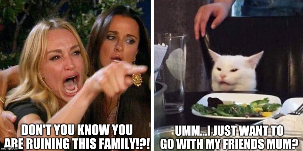 Smudge the cat | DON'T YOU KNOW YOU ARE RUINING THIS FAMILY!?! UMM...I JUST WANT TO GO WITH MY FRIENDS MUM? | image tagged in smudge the cat | made w/ Imgflip meme maker