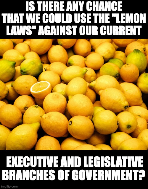 Lemons | IS THERE ANY CHANCE THAT WE COULD USE THE "LEMON LAWS" AGAINST OUR CURRENT; EXECUTIVE AND LEGISLATIVE BRANCHES OF GOVERNMENT? | image tagged in lemons | made w/ Imgflip meme maker