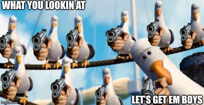 Bird of Death | WHAT YOU LOOKIN AT; LET’S GET EM BOYS | image tagged in nemo birds | made w/ Imgflip meme maker