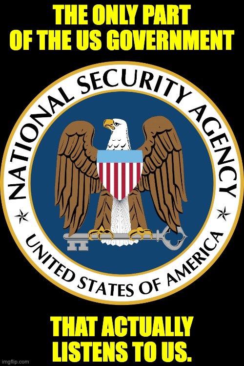 NSA | THE ONLY PART OF THE US GOVERNMENT; THAT ACTUALLY LISTENS TO US. | image tagged in nsa puns | made w/ Imgflip meme maker