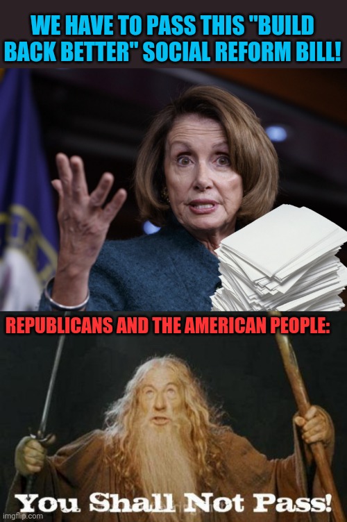 They've done gone crazy on this one! | WE HAVE TO PASS THIS "BUILD BACK BETTER" SOCIAL REFORM BILL! REPUBLICANS AND THE AMERICAN PEOPLE: | image tagged in gandalf you shall not pass,crazy,democrat,spending,bill | made w/ Imgflip meme maker