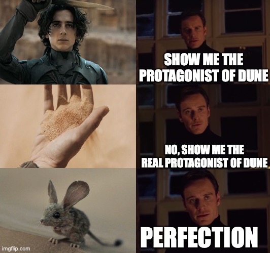 perfection | SHOW ME THE PROTAGONIST OF DUNE; NO, SHOW ME THE REAL PROTAGONIST OF DUNE; PERFECTION | image tagged in perfection,dune | made w/ Imgflip meme maker