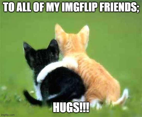 Friends. | TO ALL OF MY IMGFLIP FRIENDS;; HUGS!!! | image tagged in friends | made w/ Imgflip meme maker