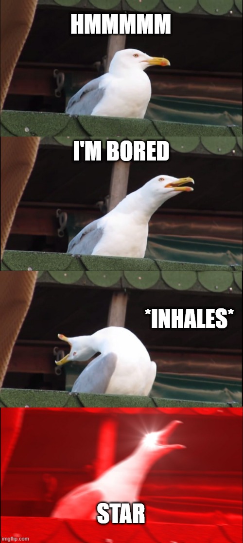 Inhaling Seagull | HMMMMM; I'M BORED; *INHALES*; STAR | image tagged in memes,inhaling seagull | made w/ Imgflip meme maker