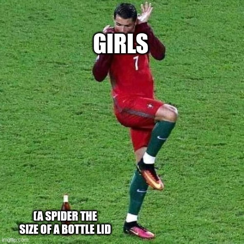 CR7 | GIRLS; (A SPIDER THE SIZE OF A BOTTLE LID | image tagged in cristiano ronaldo | made w/ Imgflip meme maker