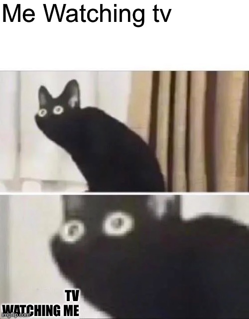 Oh no tv watching | Me Watching tv; TV WATCHING ME | image tagged in oh no black cat,watching tv,i'm watching you,paranoid | made w/ Imgflip meme maker