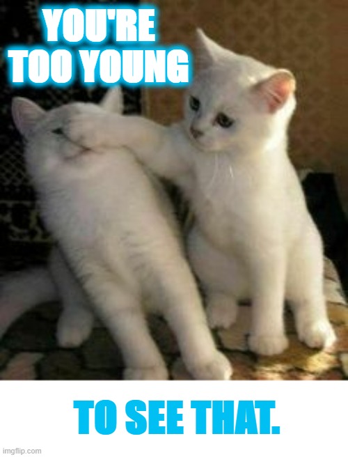 No, No...No | YOU'RE TOO YOUNG; TO SEE THAT. | image tagged in memes,cats,hiding,eyes,when you see it,no | made w/ Imgflip meme maker