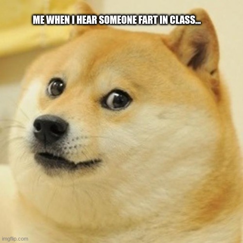 dog when hears fart | ME WHEN I HEAR SOMEONE FART IN CLASS... | image tagged in memes,doge | made w/ Imgflip meme maker