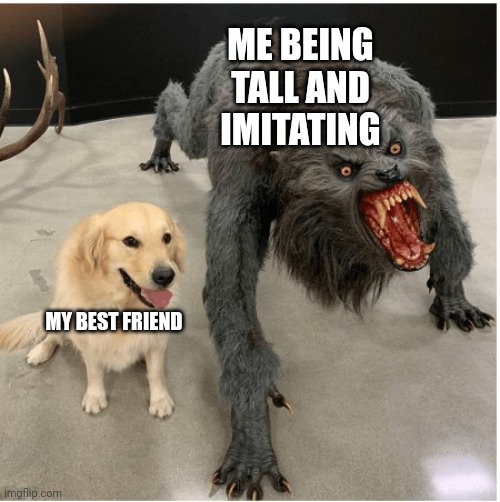 I don't know what to put here | ME BEING TALL AND IMITATING; MY BEST FRIEND | image tagged in dog wolf,friendship | made w/ Imgflip meme maker