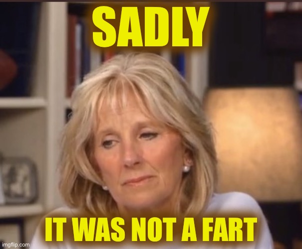 Jill Biden meme | SADLY IT WAS NOT A FART | image tagged in jill biden meme | made w/ Imgflip meme maker