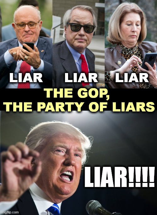 Trump lost. | LIAR     LIAR    LIAR; THE GOP, 
THE PARTY OF LIARS; LIAR!!!! | image tagged in donald trump,rudy giuliani,wood,powell,liars,gop | made w/ Imgflip meme maker