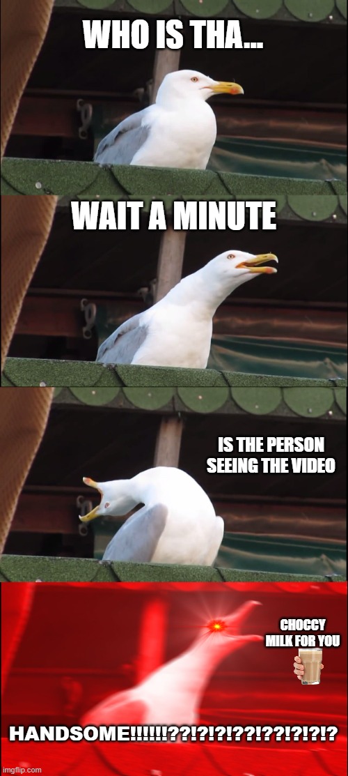 have a rest my man | WHO IS THA... WAIT A MINUTE; IS THE PERSON SEEING THE VIDEO; CHOCCY MILK FOR YOU; HANDSOME!!!!!!??!?!?!??!??!?!?!? | image tagged in memes,inhaling seagull,wholesome | made w/ Imgflip meme maker