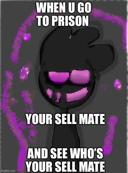OH NO | WHEN U GO TO PRISON; YOUR SELL MATE; AND SEE WHO’S YOUR SELL MATE | image tagged in lol so funny | made w/ Imgflip meme maker