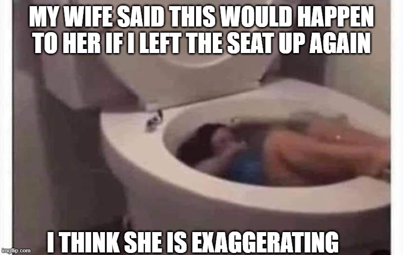 maybe a little? | MY WIFE SAID THIS WOULD HAPPEN TO HER IF I LEFT THE SEAT UP AGAIN; I THINK SHE IS EXAGGERATING | image tagged in funny memes,lol,memes,truth,really | made w/ Imgflip meme maker