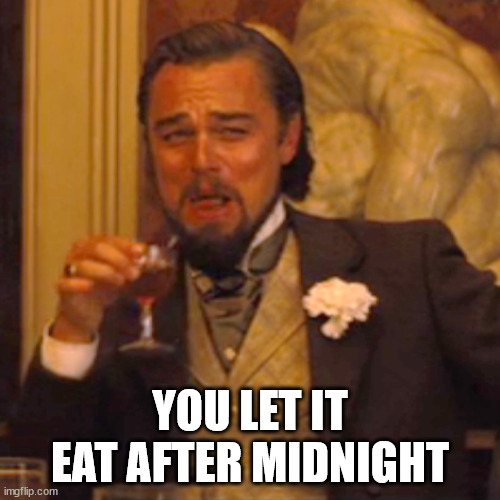Just Mogwaiz - Don't feed it | YOU LET IT EAT AFTER MIDNIGHT | image tagged in memes,laughing leo | made w/ Imgflip meme maker