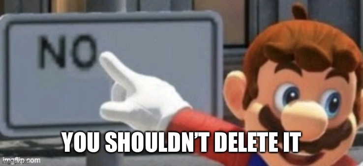 mario no sign | YOU SHOULDN’T DELETE IT | image tagged in mario no sign | made w/ Imgflip meme maker