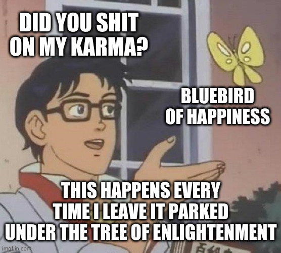 Too abstruse, zero likes | DID YOU SHIT ON MY KARMA? BLUEBIRD OF HAPPINESS; THIS HAPPENS EVERY TIME I LEAVE IT PARKED UNDER THE TREE OF ENLIGHTENMENT | image tagged in memes,is this a pigeon | made w/ Imgflip meme maker