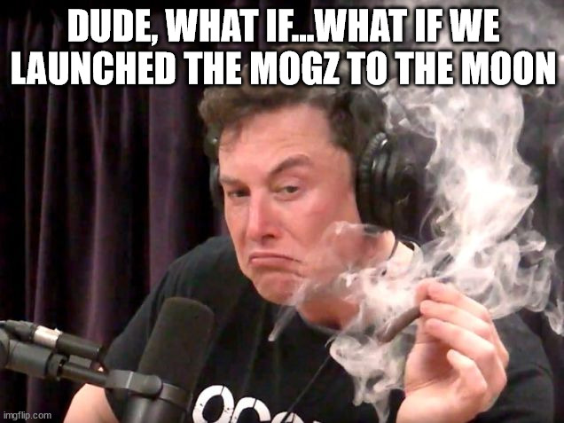 MOGZ to the moon | DUDE, WHAT IF...WHAT IF WE LAUNCHED THE MOGZ TO THE MOON | image tagged in elon musk hits blunt 2 | made w/ Imgflip meme maker