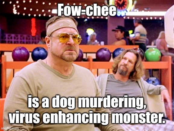 Walter says (though, not on Shabbos) | Fow-chee is a dog murdering, virus enhancing monster. | image tagged in walter says though not on shabbos | made w/ Imgflip meme maker