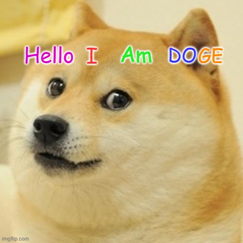 IAMDOGE | Am; Hello; I; DO; GE | image tagged in memes,doge | made w/ Imgflip meme maker