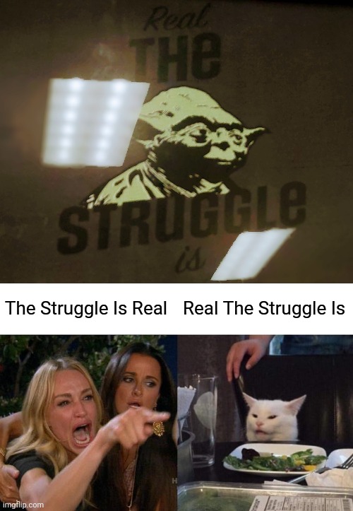 Lol | The Struggle Is Real; Real The Struggle Is | image tagged in memes,woman yelling at cat,you had one job | made w/ Imgflip meme maker