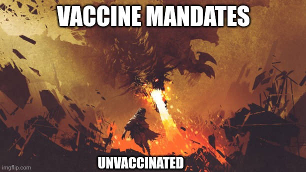 This is life now. Good luck everyone. | VACCINE MANDATES; UNVACCINATED | image tagged in vaccine,the hardest choices require the strongest wills,never give up,coronavirus,tyranny,new world order | made w/ Imgflip meme maker