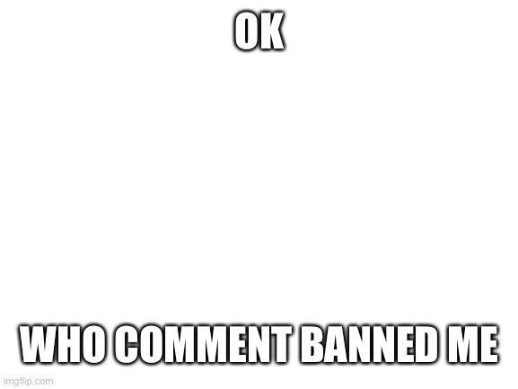 Who | OK; WHO COMMENT BANNED ME | image tagged in blank white template | made w/ Imgflip meme maker