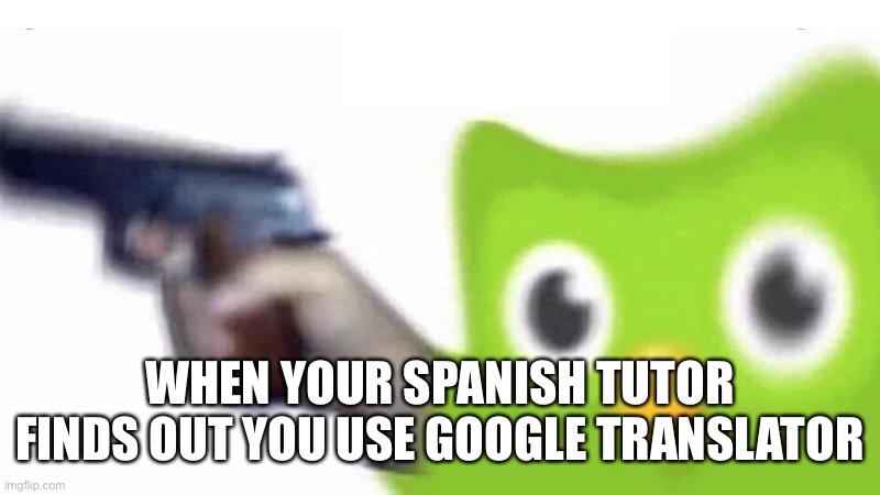 duolingo gun | WHEN YOUR SPANISH TUTOR FINDS OUT YOU USE GOOGLE TRANSLATOR | image tagged in duolingo gun | made w/ Imgflip meme maker