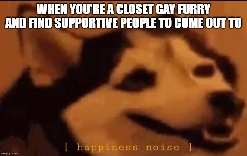 Thanks for are the support!!! | WHEN YOU'RE A CLOSET GAY FURRY AND FIND SUPPORTIVE PEOPLE TO COME OUT TO | image tagged in happines noise,memes,furry,doggo,husky | made w/ Imgflip meme maker